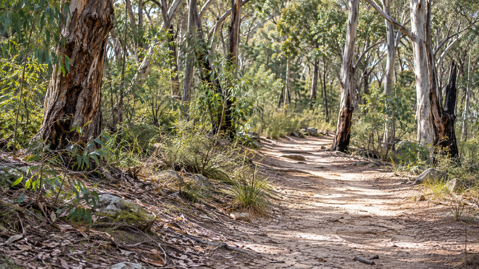 Moving to Denmark, WA: Forests, Coast and a Creative Community