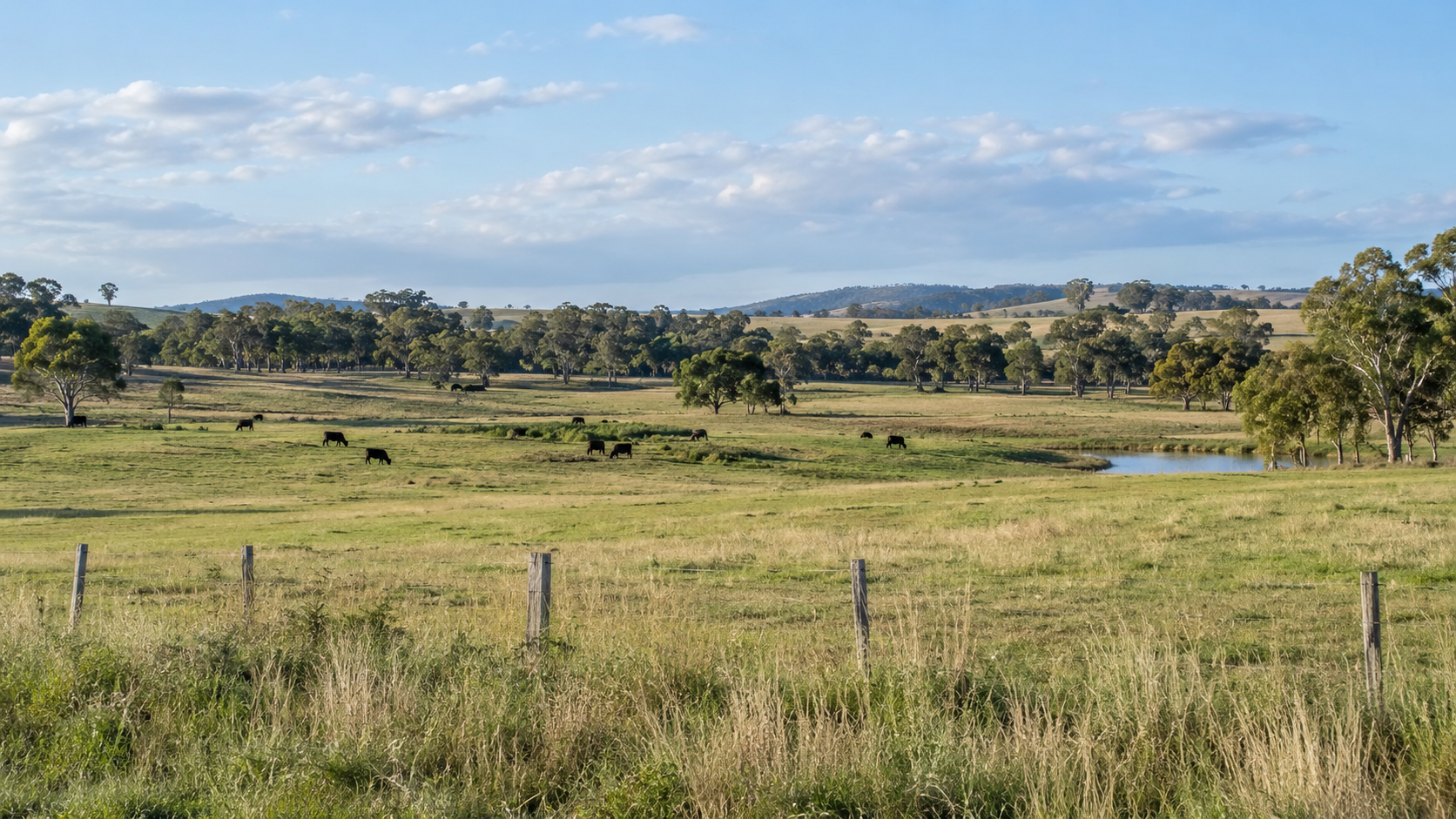Living in Naracoorte: Working Country with Natural Wonders Nearby