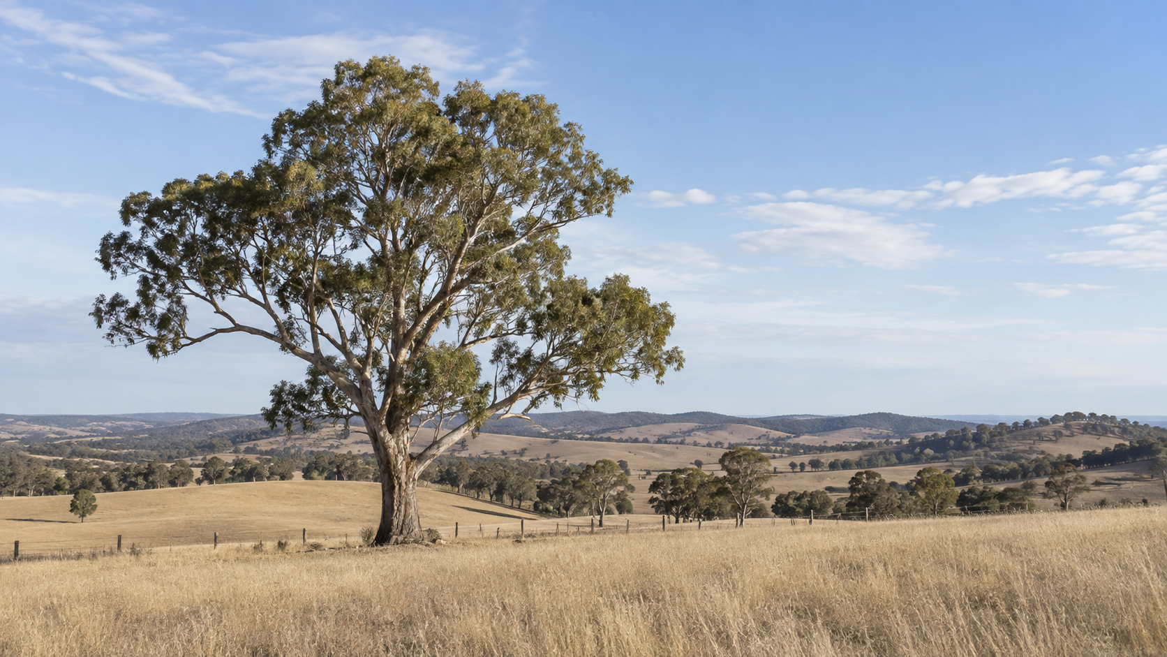Moving to Mudgee, NSW: Wine Country with Career Options
