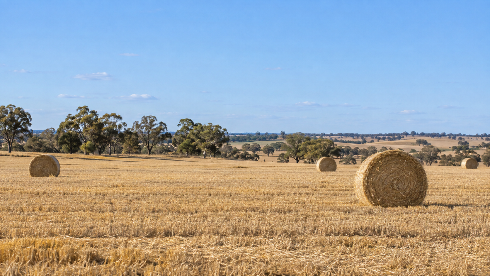 Moving to Clare, South Australia: Make Wine Country Your Everyday