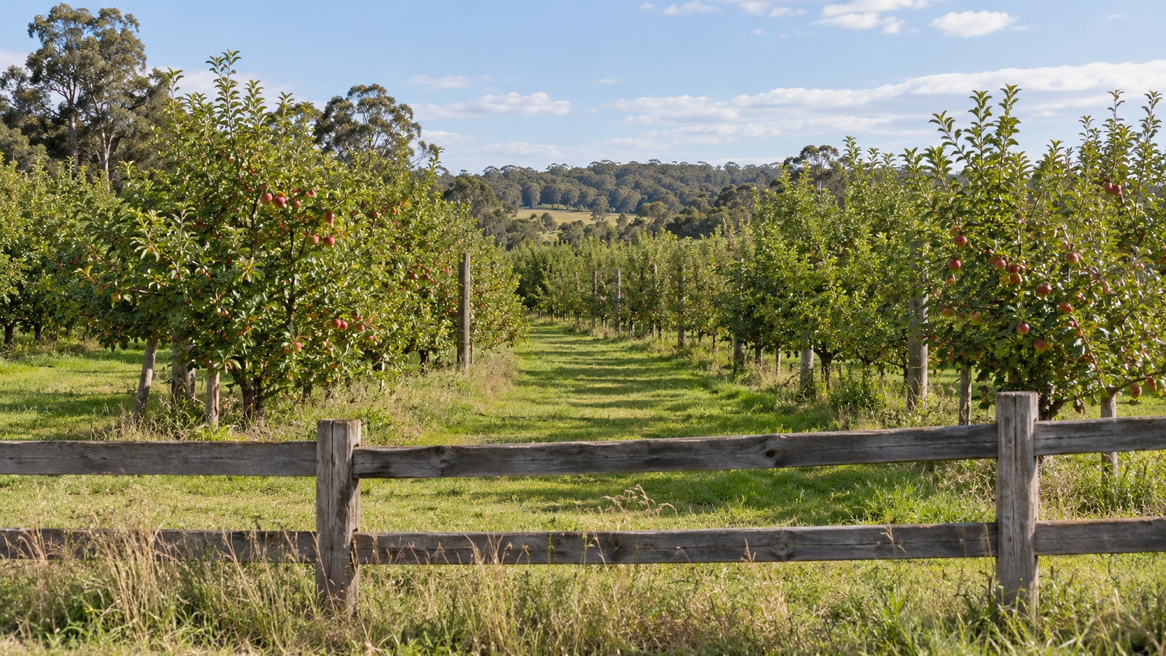 Living in Stanthorpe: Find Your Place in Queensland's Granite Belt